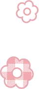 chiekosaku