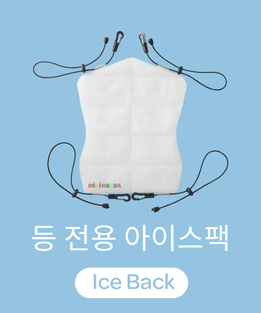 등 전용 아이스팩